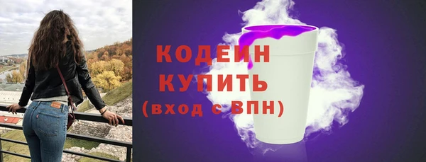 spice Каменка