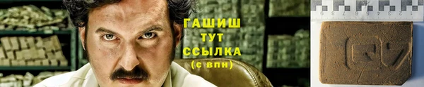 spice Каменка