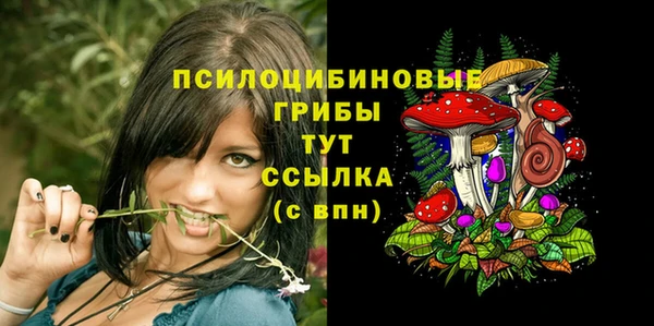 spice Каменка