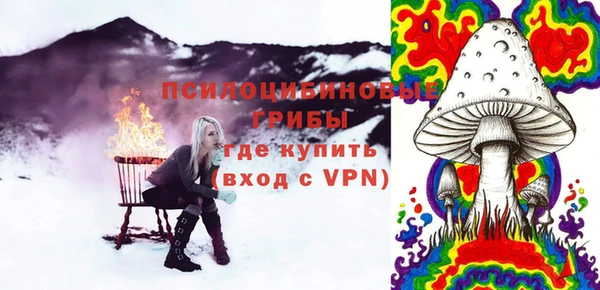 прущая мука Каменногорск