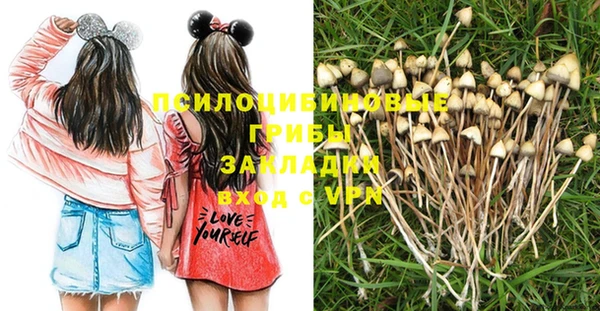 прущая мука Каменногорск