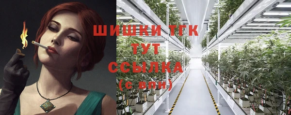 spice Каменка